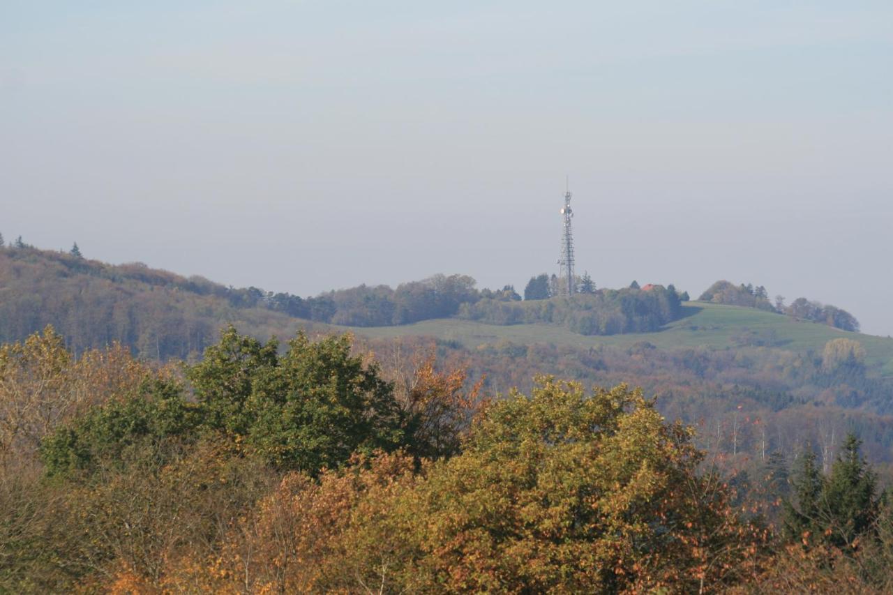 Fewo Im Naturpark Spiegelberg エクステリア 写真